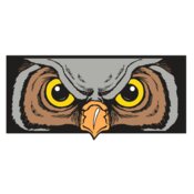 AR5 Owl 13 RQC