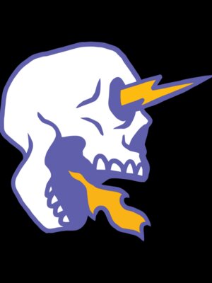 Elements Skulls logo template 94