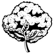 VEG021